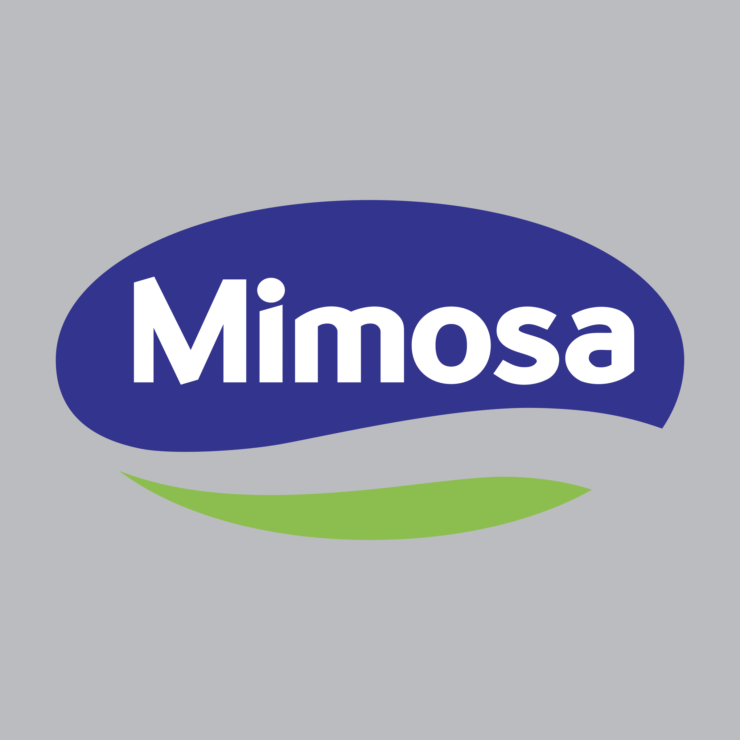 Mimosa